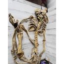 Life-size mummified rubber skeleton Halloween prop lawn decor vintage as is