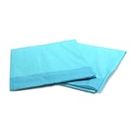 Disposable Underpads 17" x 24", 2ply Tissue Fill, 100 Count