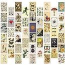 GROBRO7 50Pcs Vintage Botanical Wall Collage Kit, Aesthetic Picture Indie Room Decor, Art Posters for Dorm Wall Decor, Wall Art Prints for VSCO Girls Boys, Bedroom Decor for Primitive Creature Lovers