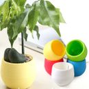 Creative Cute Round Plastic Planter Flower Plant Pot Home Garden Office Decor