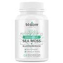Bloom Health Sea Moss Supplement - Organic Irish Moss for Immune Support - Non-GMO Seamoss Capsules for Thyroid Health - Vegan Raw Seamoss Pills with Organic Bladderwrack Powder - 120 Vegetarian Caps