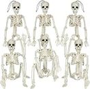 Halloween Skeleton Decorations, 6 Pack 16" Halloween Full Body Mini Skeleton with Movable Posable Joints, Spooky Plastic Skeleton for Yard Garden Lawn Haunted House Graveyard Props Decor