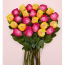 1-800-Flowers Flower Delivery Conversation Roses Happy Birthday 24 Stems, Bouquet Only | Same Day Delivery Available