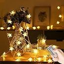 Star Fairy Lights - Guirnalda de luces impermeables, 60 LED, 7 m, funciona con pilas, con 8 modos de control remoto, luces decorativas para exteriores, interiores, boda, Navidad (blanco cálido)
