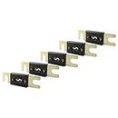 GZYF 5 PCS Gold Plated Car Audio ANL Fuse 100 Amp, 100 Amp Fuse For Car Vehicle Marine Audio Video System