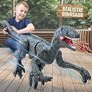 2.4G Juguetes de Dinosaurio con Control Remoto, Velociraptor electrónico Educativo para Caminar con Luces y Sonidos, Juguetes Robot de Dinosaurio alimentados por batería Recargable
