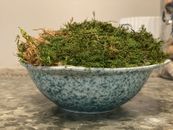 Moss Bowl, Faux Greenery Table / Home Decor/centerpiece