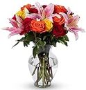 BENCHMARK BOUQUETS - Big Blooms (Glass Vase Included), Prime Next-Day Delivery, Gift Mother’s Day Fresh Flowers