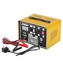 Car Battery Charger, 12V/24V 20A 20Amp Heavy Duty Battery Charger, Ideal for Various Vehicle Cars Vans Tractors Lead-acid Batteries