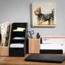 Gracie Oaks Dittmar Home Office & School Upright Triple File Organizer Metal in Black | 11 H x 8.7 W x 10.2 D in | Wayfair