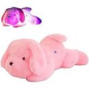 LICHENGTAI Stuffed Dolphin Plush Pillow, 7 Color Changing LED Lighten Stuffed Dolphin Toy Plush Pillow Night Light Cushion Doll Gifts for kids Home Decoration, Blue (Pink dog)