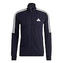 Adidas Men's Polyester V-Neck Track Jacket (H28903_LEGINK_Multicolor_S)