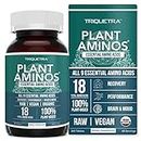 Plant Aminos Organic Essential Amino Acids (EAAs) & BCAA - 100% Plant-Based Raw, Vegan - All 9 Amino Acids with 18 Total Amino Acids (360 Tablets)