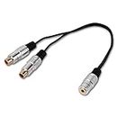 CABLESETC Metal Plugs 3.5Mm Stereo Female To 2 Rca Female Y Cable Adapter For Tv Led Television, Dvd Player (25Cm, Gold)