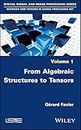 From Algebraic Structures to Tensors (Digital Signal and Image Processing: Matrices and Tensors in Signal Processing Set)