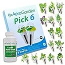 AeroGarden Custom Herb Seed Pod Kit, Choose Your Own Herb Seeds to Create Your Own AeroGarden Herb Garden, 6-Pod