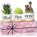 Aujzoo Best Mom Gifts, Birthday Present for Mommy, Gifts for Mother's Day from Daughter Son Kids, Best Mom Ever Succulent Pots，Garden Decor Planter Succulent Pots