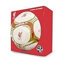 Icon Sports Officially Licensed World Clubs Pro Training Outdoor Size 5 Fans Soccer Balls for Football Games | Liverpool FC, Comet, Size 5