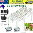 36 Sites Hydroponic Grow Tool Kits Vegetable Garden System Home Water Pump PVC