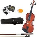 Mendini 14-Inch MA250 Varnish Solid Wood Viola with Case, Bow, Rosin, Bridge and Strings