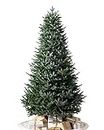 Balsam Hill 7ft Unlit European Silver Fir Artificial Christmas Tree