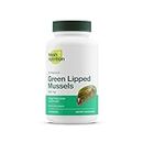 Green Lipped Mussel Capsules - Strongest DNA Verified from New Zealand - Perna Canaliculus Omega Supplement - May Promote Healthy Joints - 90 Capsules