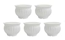 Fragrancia P&P Appliances Decorative Designer Round Shape White Kanha Matki Flower Plastic Pot 13.3 (D) X 9.9 (H) cm for Table, Balcony, Office, Home, Best for Gift Also, Pack of-5 (5 Inch)
