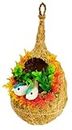 ZENRISE® Love Birds in nest Vastu Hanging Decoration Items for Home, Living Room, Balcony and Garden (Beige, Red)