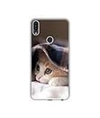 Amazon Brand - Solimo Designer Sleepy Kitten UV Printed Soft Back Case Mobile Cover for Asus Zenfone Max Pro M1