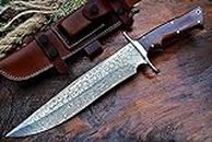 BIGCAT ROAR Couteau de chasse en Acier de Damas fait main - Couteau de chasse à lame fixe avec étui et manche en bois de noyer - Couteau d'extérieur 35.5 cm - Patriot