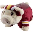  Washington Redskins  Logo Sport Pillow Pet Dream Lites Mascot Toy 1032