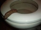 Bathroom Prank Fake Party Pooper Crap Turd - Human Poop Funny Joke Toilet Poo