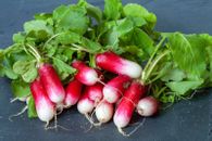 1000 Samen Radieschen Rot Weiß Flamboyant 3  French Breakfast  Gemüse Vegetable