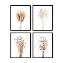 HAUS AND HUES Brown Plant Set of 4-11x14