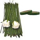3A Featuretail 12 Inch Dark Green Floral Stem Wire Crafting Floral Paper Wrapped Wire for Artificial Flowers Making, Plant Stub Stem (50 pc wire & 2pc Tape, Green Floral Wire with Green Floral Tape)