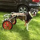 Best Friend Mobility Sedia a rotelle per Cani, Taglia L (27,2-45,4 kg)