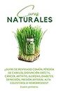 Curas naturales: Revelación cómo puede tratar y curar muchas de las enfermedades (Spanish Edition)