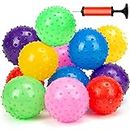 LOVEINUSA Bounce Ball, 12 PCS Sensory Balls Knobby Party Balls Massage Balls with Air Pump Set 4.72"