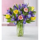 1-800-Flowers Seasonal Gift Delivery Fanciful Spring Tulip & Iris Bouquet W/ Clear Vase | Put A Smile On Their Face
