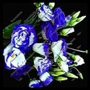 200pcs / Pack Viola semi Lisianthus rari Semi eustoma del Fiore Semi per la casa e il giardino
