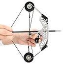 SHARROW Compound Bow and Arrows Set Bow with Arrow Target for Adult Archery Outdoor Shooting (Type 4)