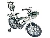 TONY RAW Bicycles Sports Gigi with Training Wheels 20T BMX Single Speed Bicycle Cycle for Kids 7 Years to 10 Years Boys & Girls Grey Green