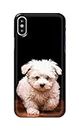 PRINTFIDAA Printed Hard Back Cover Case for Apple iPhone X | iPhone 10 | iPhone Xs | iPhone 10s Back Cover (Puppy Dog) -1803