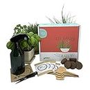 Herb Garden Kit Gift Set, Culinary - Complete Seed Starter Kit, Australian Organic & Non-GMO herb Seeds, Germination kit, Gardening Gift, Grow Indoors or Outdoors