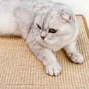 PET CAT SCRATCHER Sisal Mat Grab Board Sofa Furniture Protective Cover C9-18