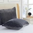 Triodream Micro Fleece Pillowcase Set with Zipper | Ultra Soft Velvet Pillow Cases | Soft Pillowcases and Shams | Flannel Fleece Velour | Standard/Queen Size Pillowcases - 20" x 30" - Charcoal Grey