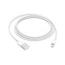 Apple Lightning to USB Cable (1m) ​​​​​​​