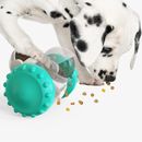 Cat And Dog Toys Slow Food Interactive Balance Car Multifunctional Fun Developme
