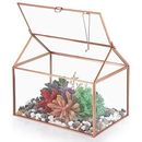 Rose Gold Glass Plant Terrarium, Garden Moss Container with Swing Lid,