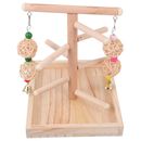 Pet Debout Swing Parrot Lecture Stand Perroquet Formation T Stand